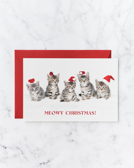 Meowy Christmas Kitten Holiday Cards (set of 5)
