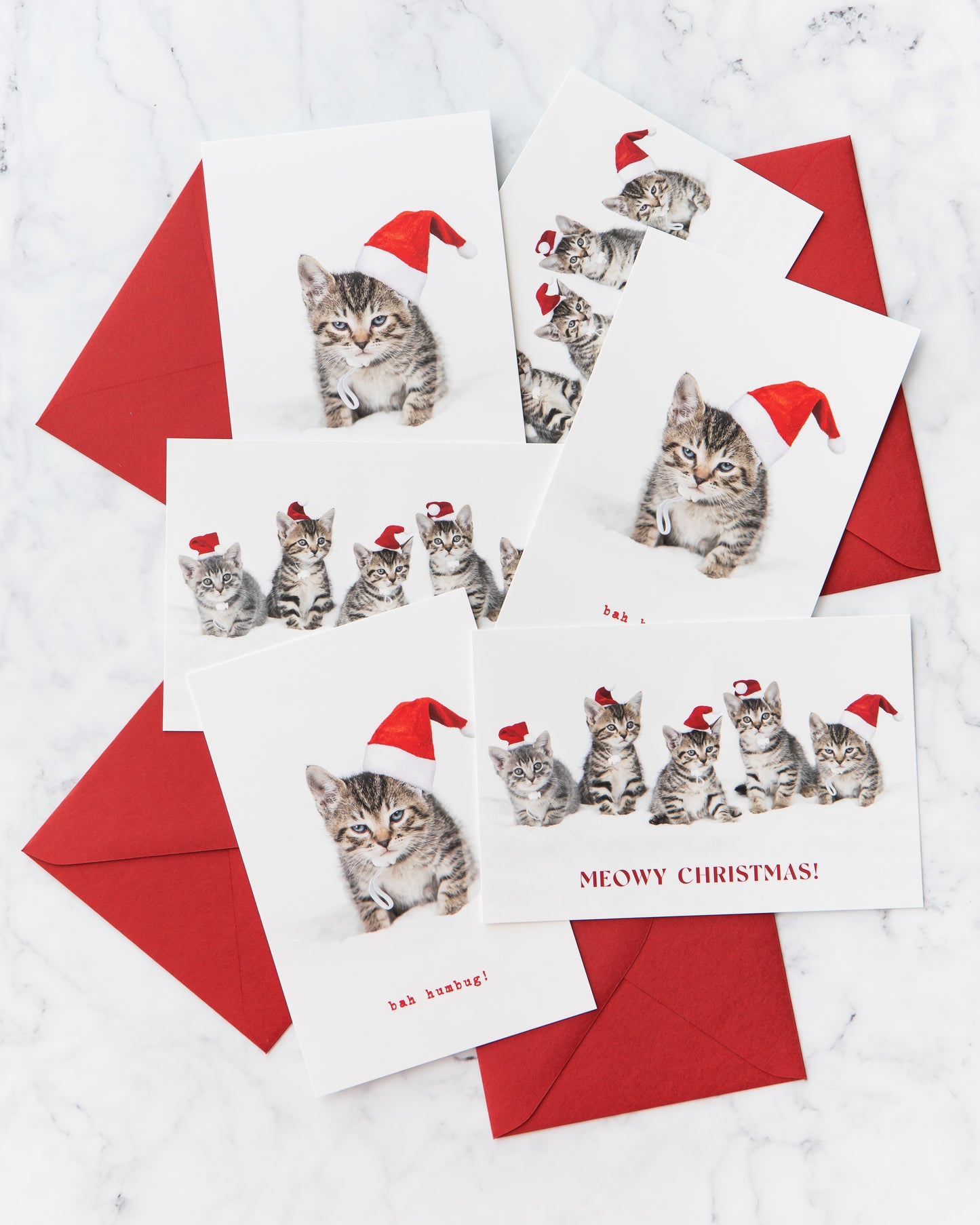 Bah Humbug Kitten Holiday Cards (set of 5)