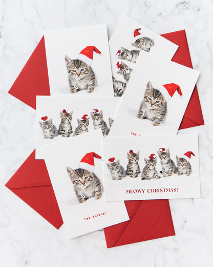 Bah Humbug Kitten Holiday Cards (set of 5)
