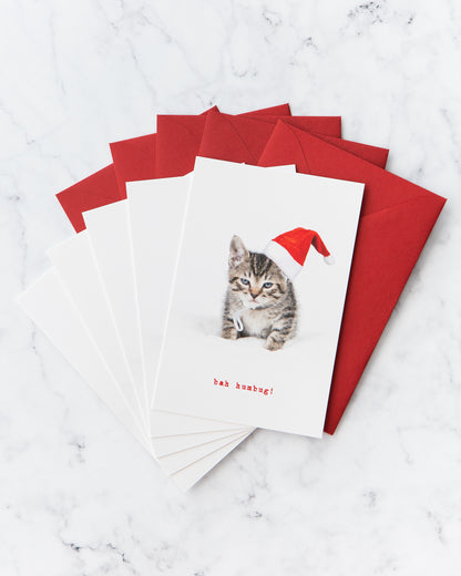 Bah Humbug Kitten Holiday Cards (set of 5)