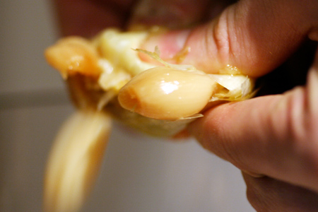 Roasted Garlic Squeeze