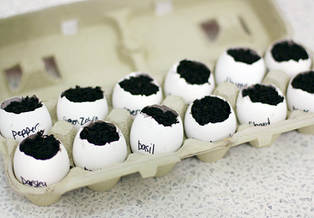 Starting Seeds in Eggshells