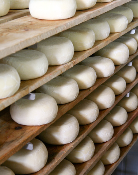 Pecorino de Pienza