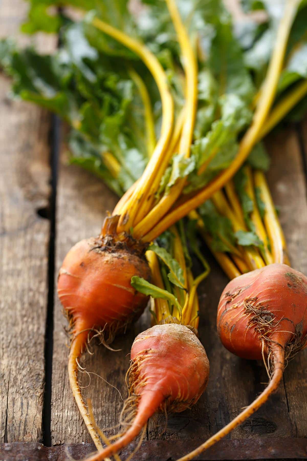 Golden beets on a rustic wood background.