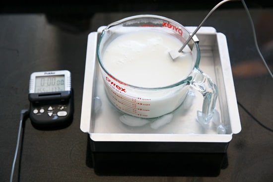 How to Make Homemade Yogurt with only two ingredients!