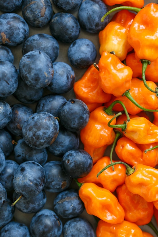 Damson Plums + Fiery Habaneros come together in one amazing jam.