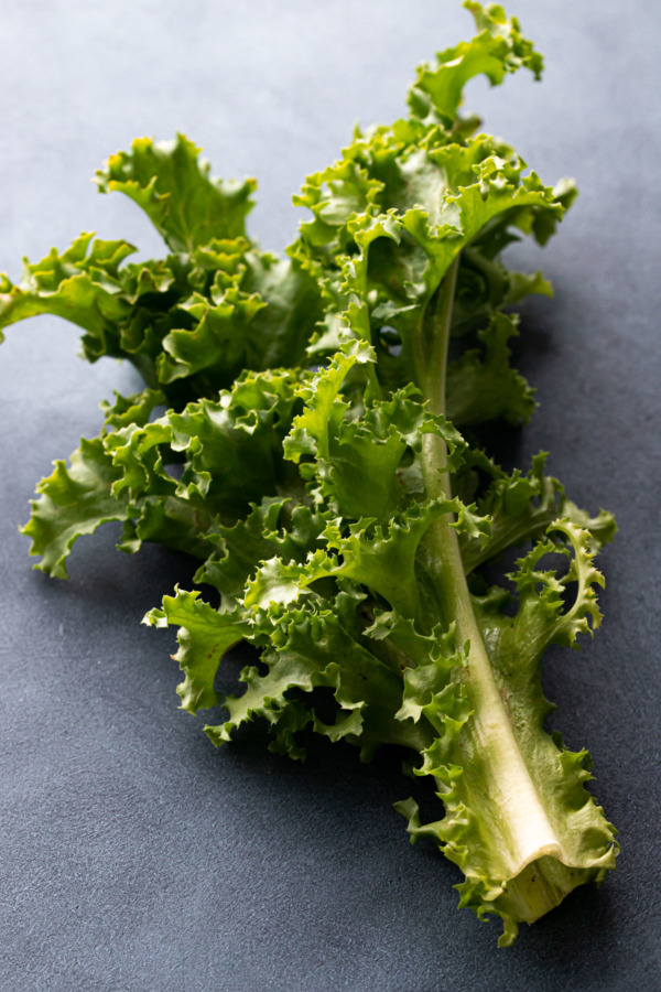 Closeup of a stalk of ruffly frisée lettuce on a dark background
