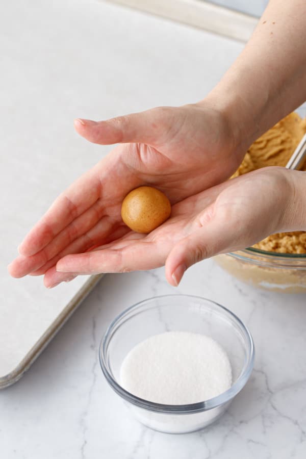 Rolling a ball of peanut butter cookie dough between palms to form a smooth ball of dough.