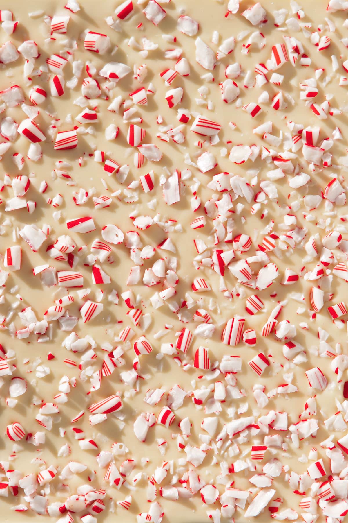Closeup textural shot of Homemade Peppermint Bark, showing the white chocolate top layer and crushed candy canes scattered over the top.